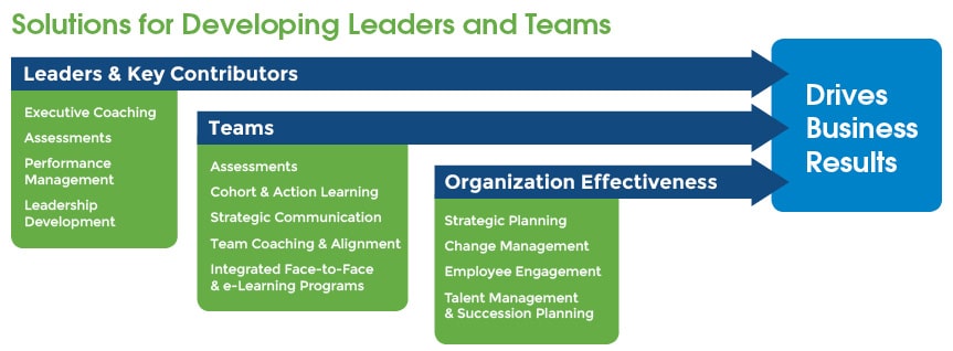 Solutions for Developing Leaders and Teams graphic